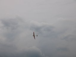 tdm25 28